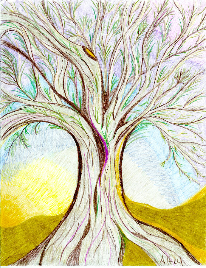 Nature Drawing - From My Dream by Aileen Heymach