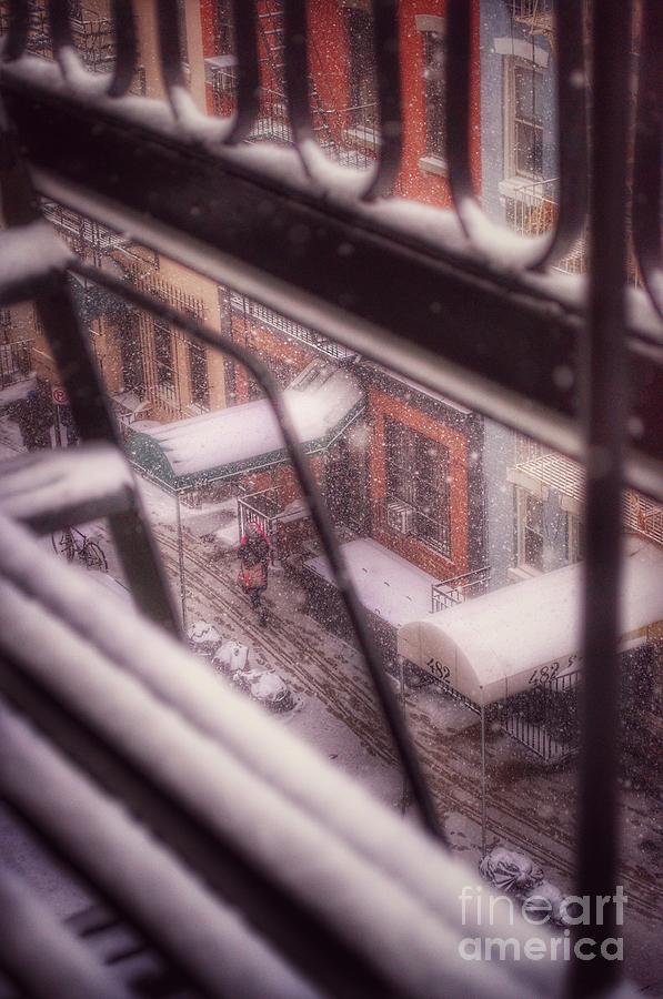 From My Window - Braving the Snow Photograph by Miriam Danar