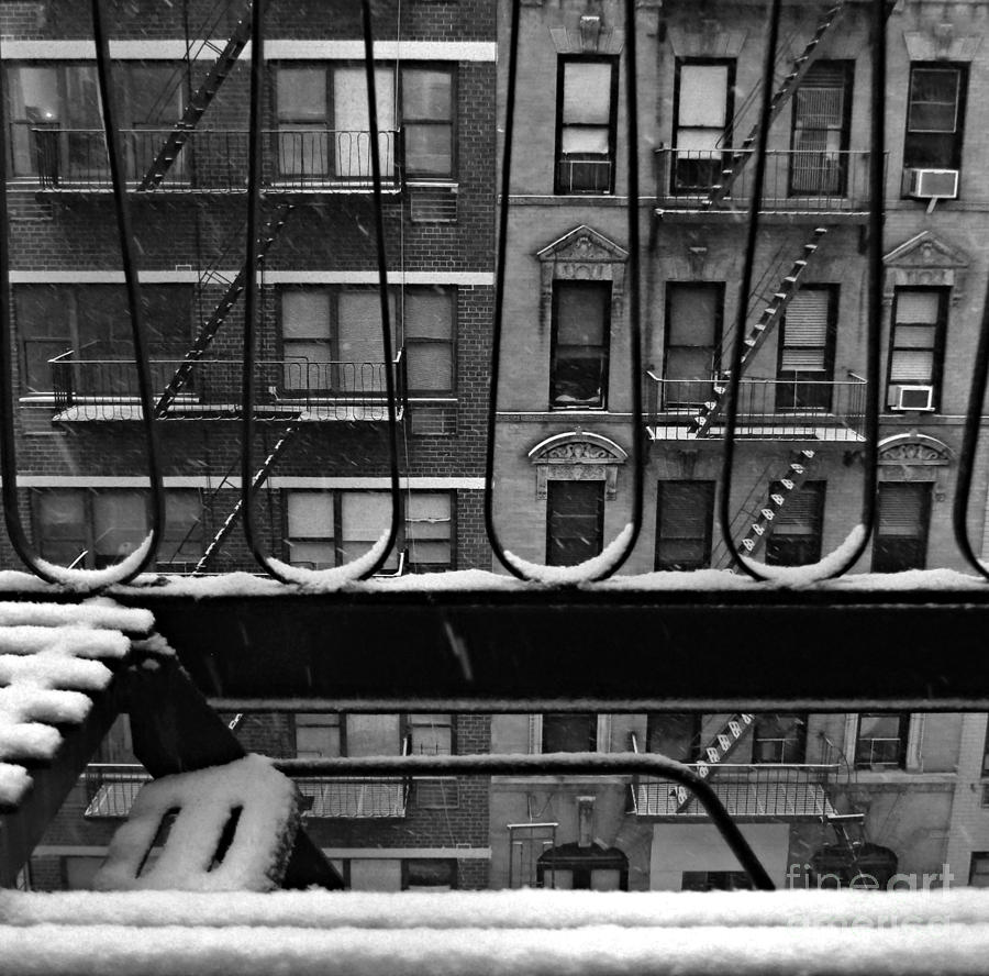 From My Window - Rhapsody in Snow Photograph by Miriam Danar