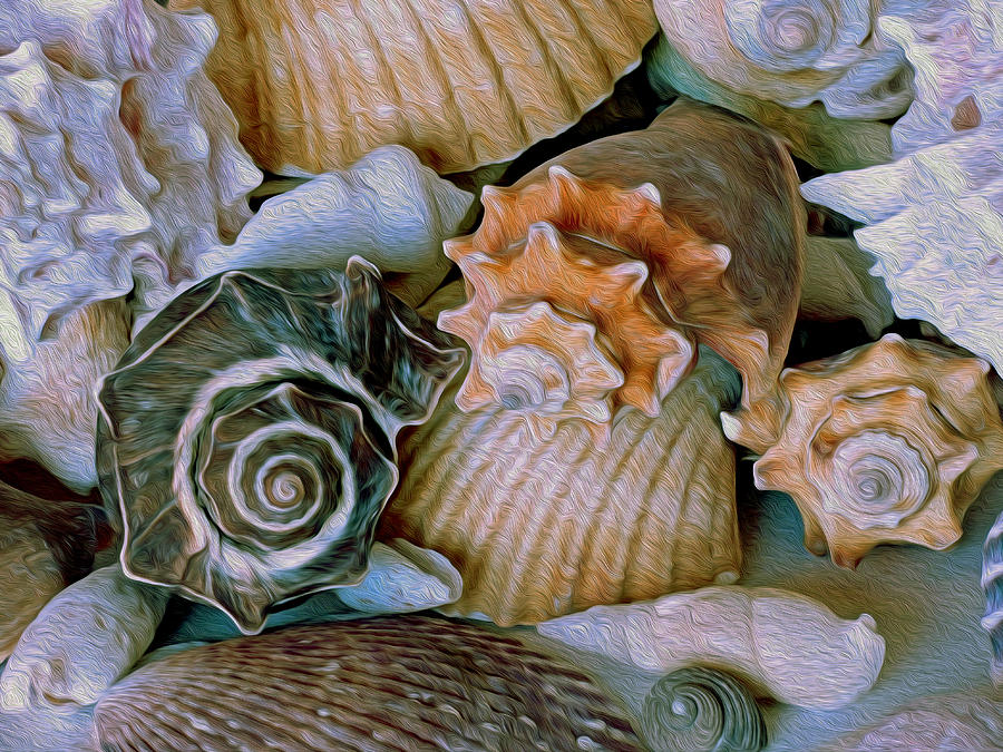 Shell Photograph - From One to the Other by Lynda Lehmann