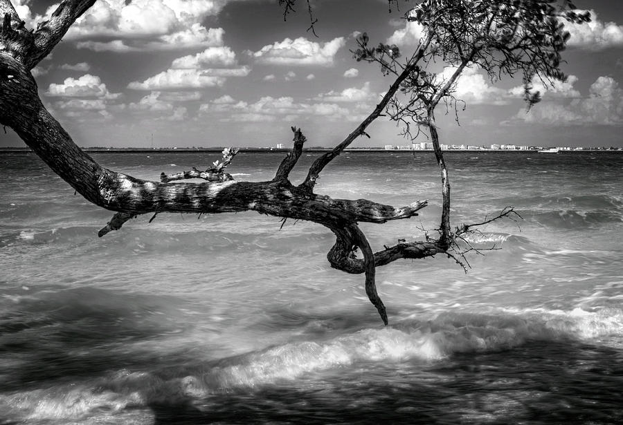 From Sanibel To Fort Myers in Black And White Photograph by Greg and Chrystal Mimbs