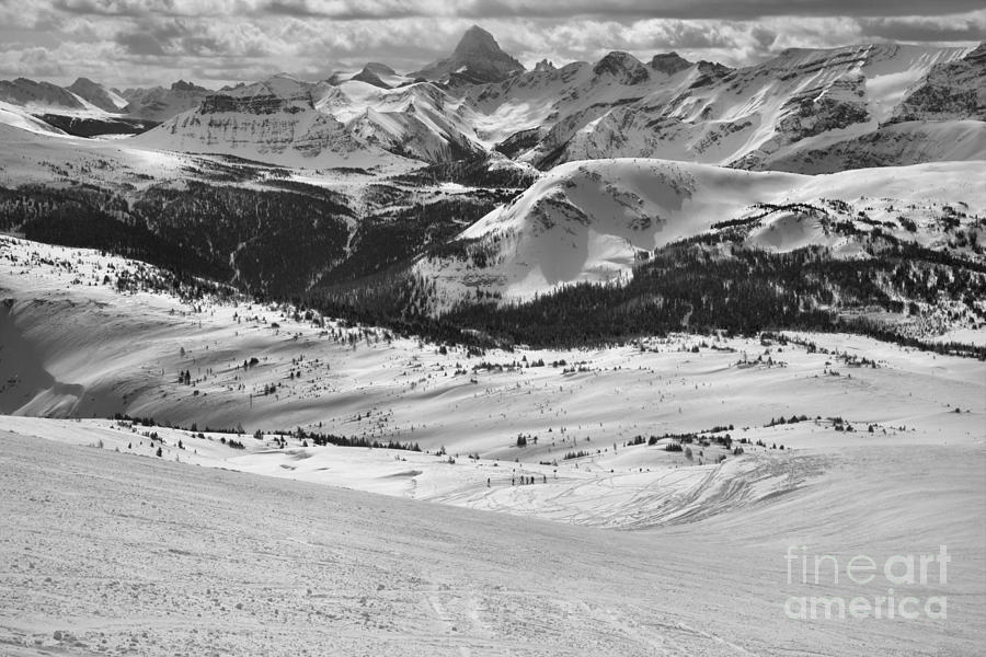 From Sunshine To Assiniboine Black And White Photograph by Adam Jewell