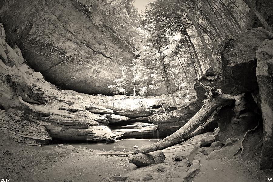  From The Bottom Of Old Mans Cave Black And White Photograph by Lisa Wooten