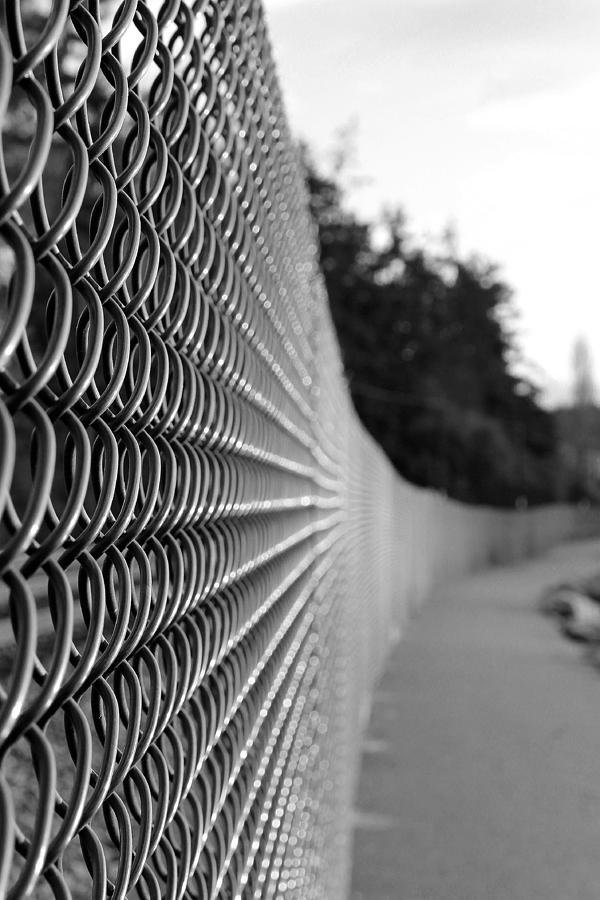 Black And White Photograph - From the Fences POV by Beth Buelow