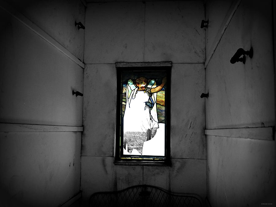 From the Inside 2 Photograph by Dark Whimsy