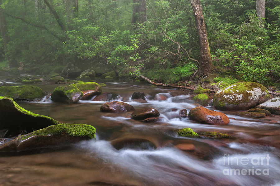 From The Mist - Oconaluftee River Photograph by TS Photo