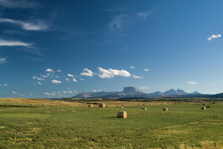 From the Prairie to the Rockies by Tom Buchanan From the Prairie to the Rockies by Tom Buchanan