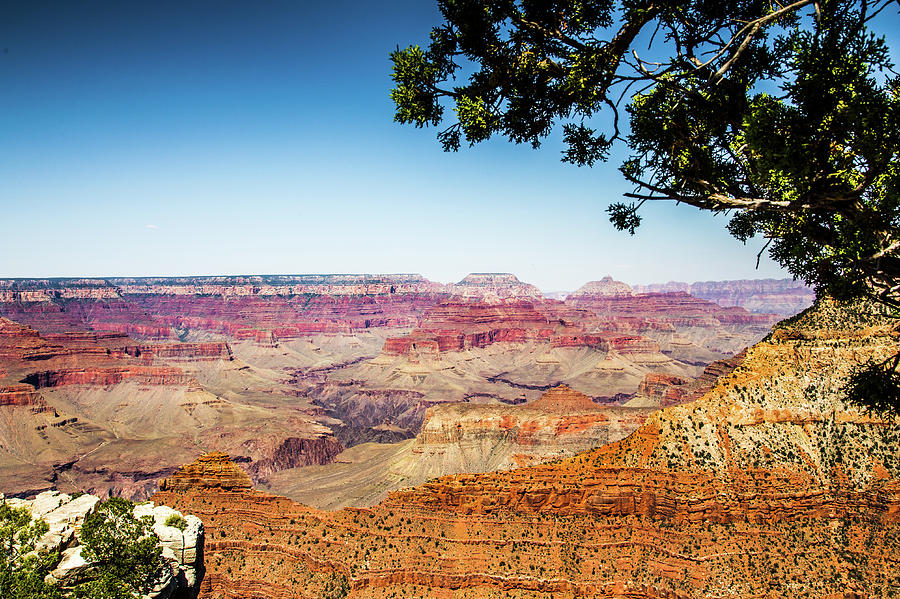 From the Rim Photograph by Lisa Lemmons-Powers - Fine Art America