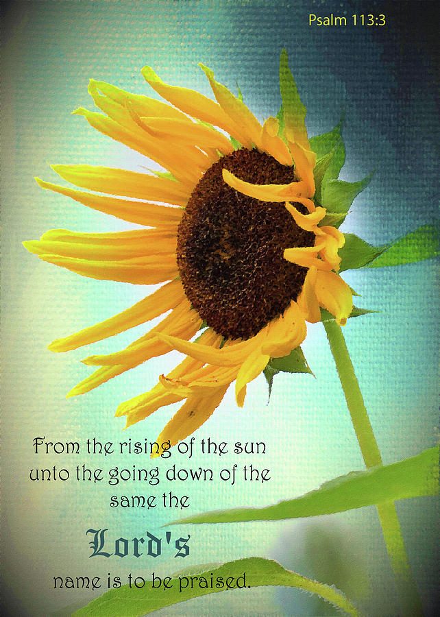 From the Rising of the Sun Photograph by Karen Beasley