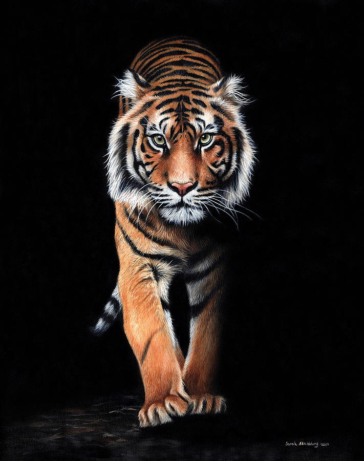 Tiger Cub Painting by Sarah Stribbling