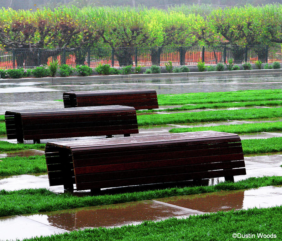 Front Bench Photograph by Dustin Woods Fine Art America