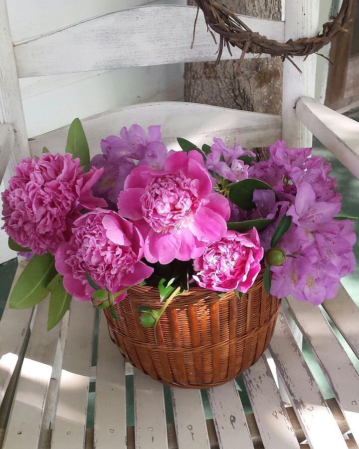 Front Porch Peonies by Deb Martin-Webster Front Porch Peonies by Deb Martin-Webster