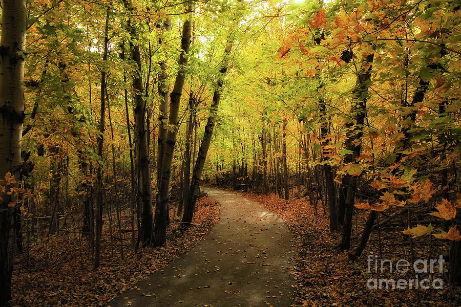 Frontenac State Park in Autumn Photograph by Jimmy Ostgard
