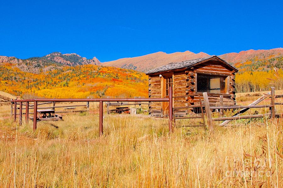 Frontier Cabin in the Aspens Photograph by Laurisa Rabins - Pixels