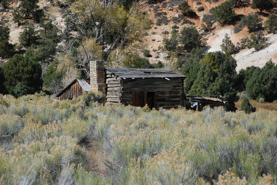 Frontier Home Photograph By William Thomas 