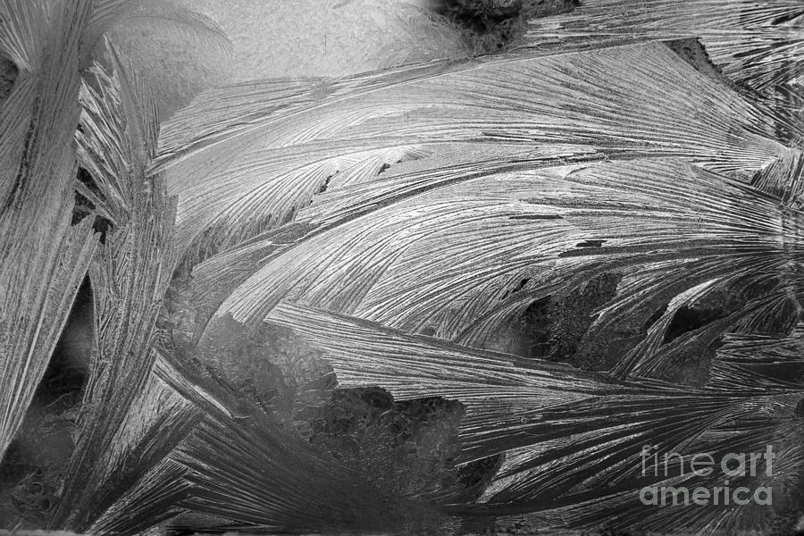Frost 1 Photograph