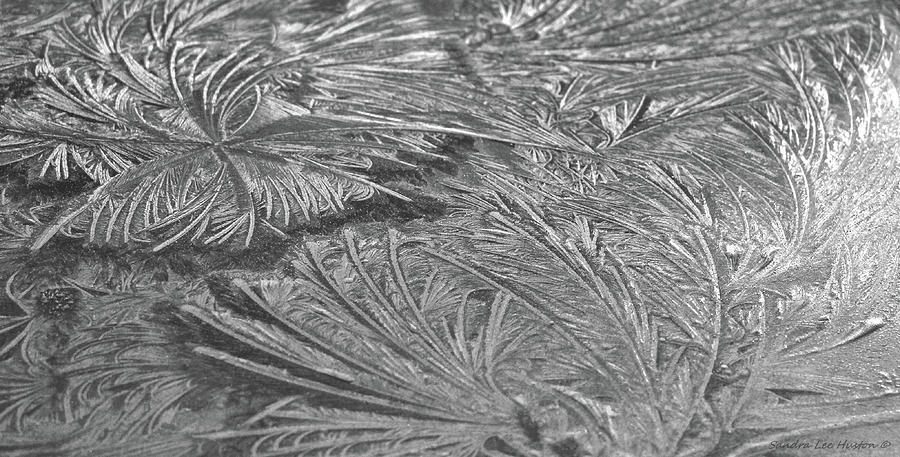 Frost Abstract in Black and White Photograph by Sandra Huston