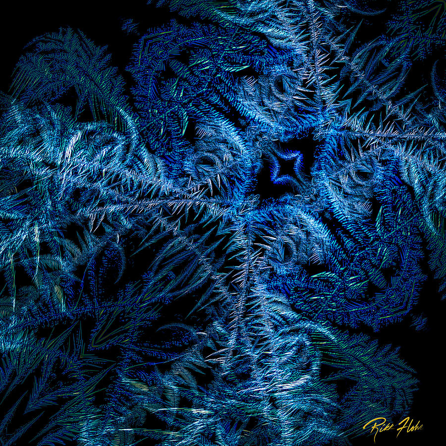 Frost Abstract on Black  Photograph by Rikk Flohr