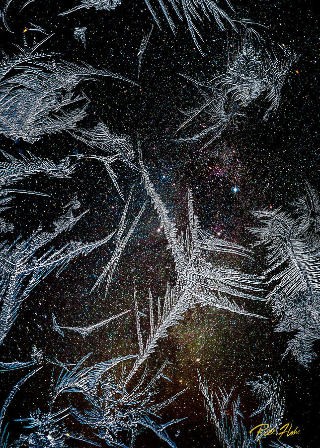 Pattern Photograph - Frost Against the Night Sky by Rikk Flohr