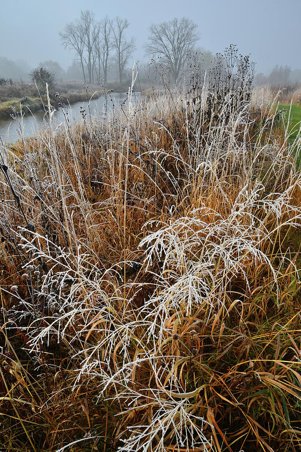 Frost along Nippersink Creek in Glacial Park Photograph by Ray Mathis
