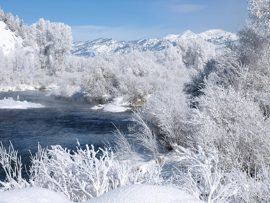 Frost Along The River Photograph by DeeLon Merritt
