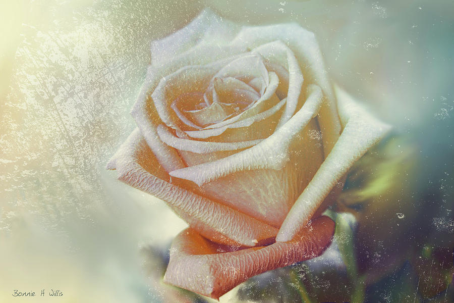Frosty Rose Digital Art by Bonnie Willis