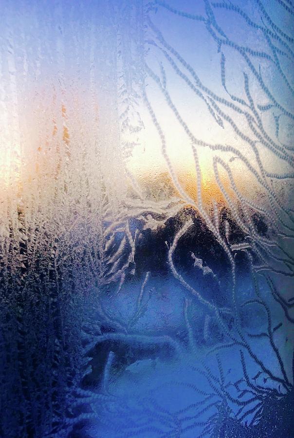 Frost at Minus 22 Sunrise Photograph by Brian Sereda