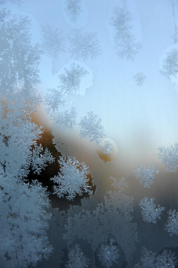 Winter Photograph - Frost bite by Jessica Rose