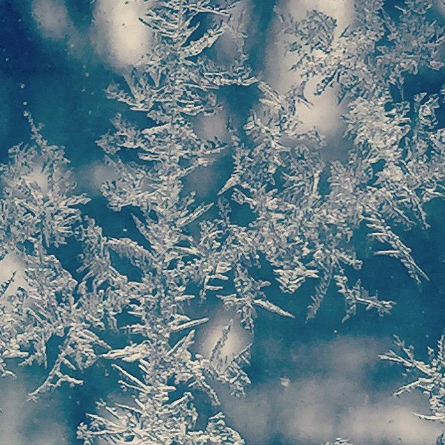 Winter Photograph - #frost #cold #winter #makeitstop by Tammy Wetzel