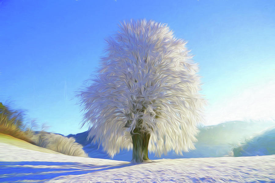 Frost Covered Tree Digital Art by Roy Pedersen