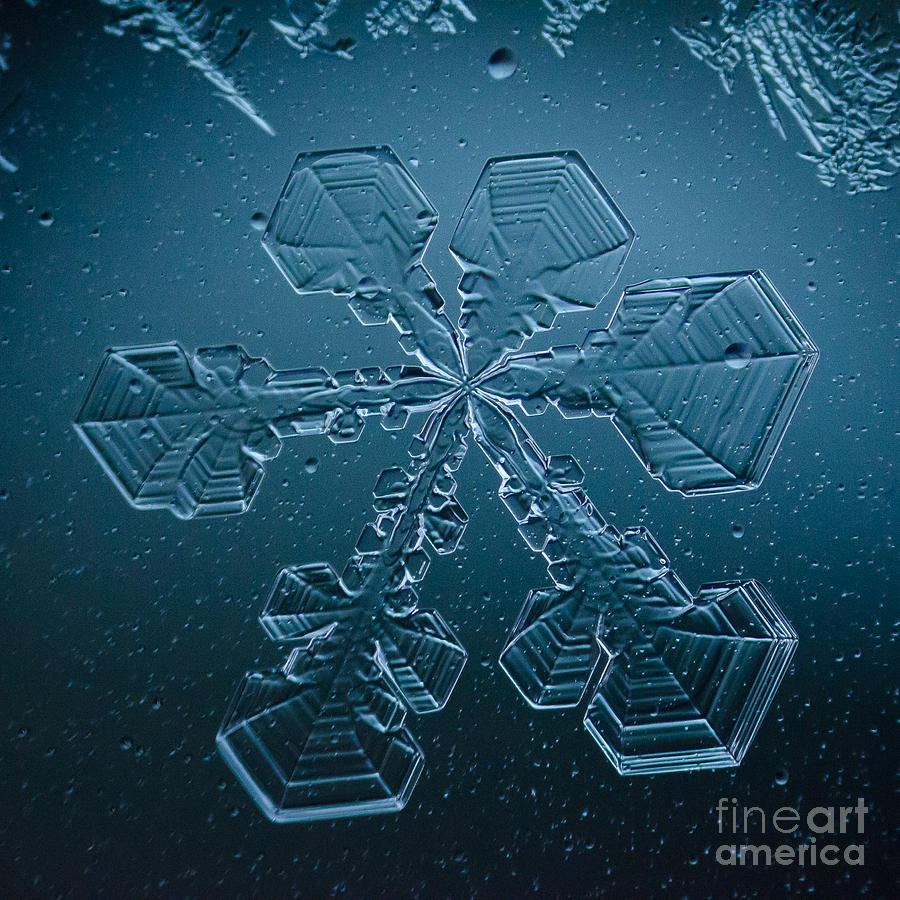 Mountain Photograph - Frost Crystal #10 by Doug Wewer