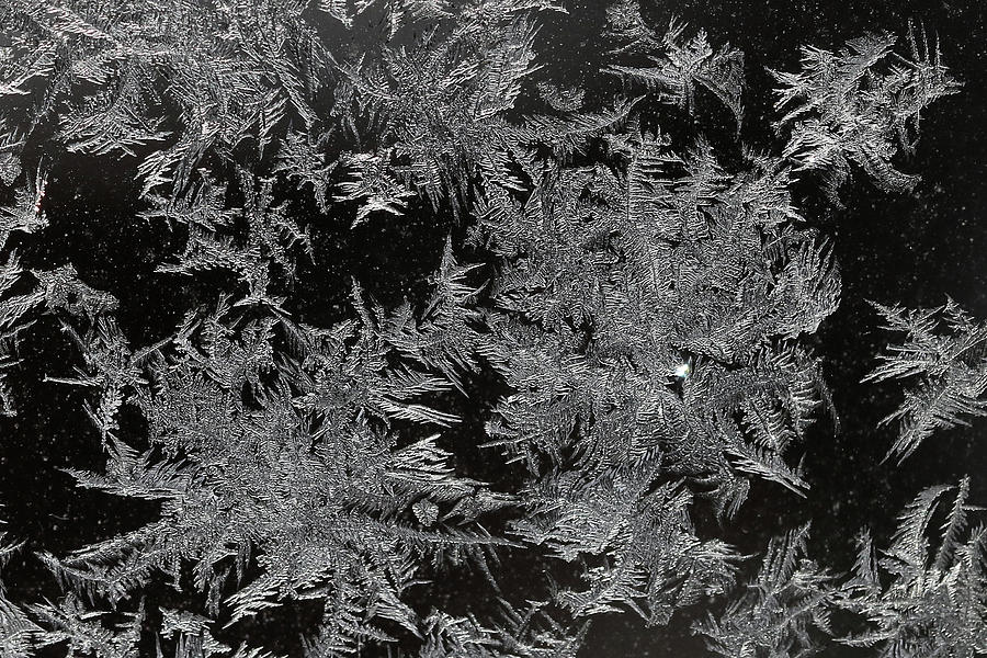 Frost crystals Photograph by Doris Potter