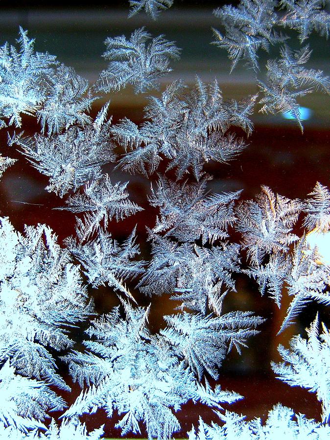 Winter Photograph - Frost Design by Shirley Sirois