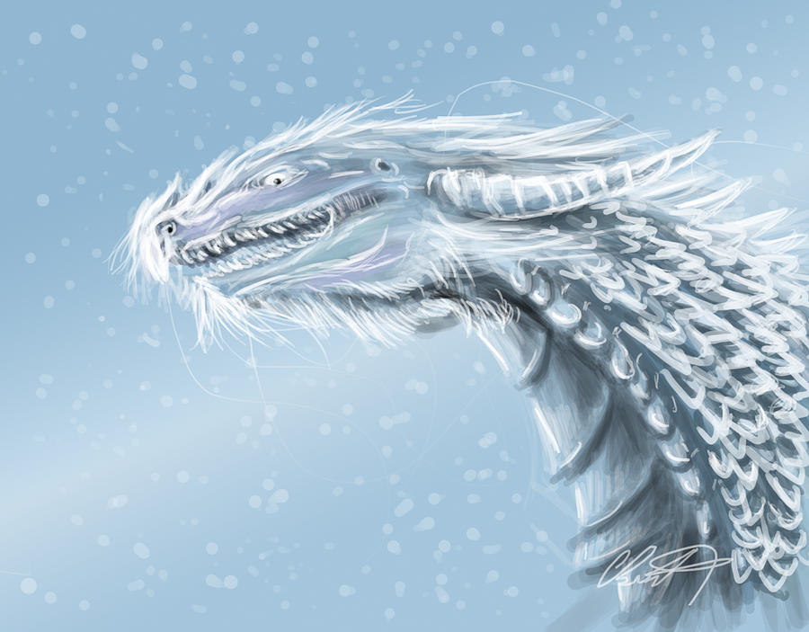 Frost Dragon Digital Art by Angela Bueckert Fine Art America