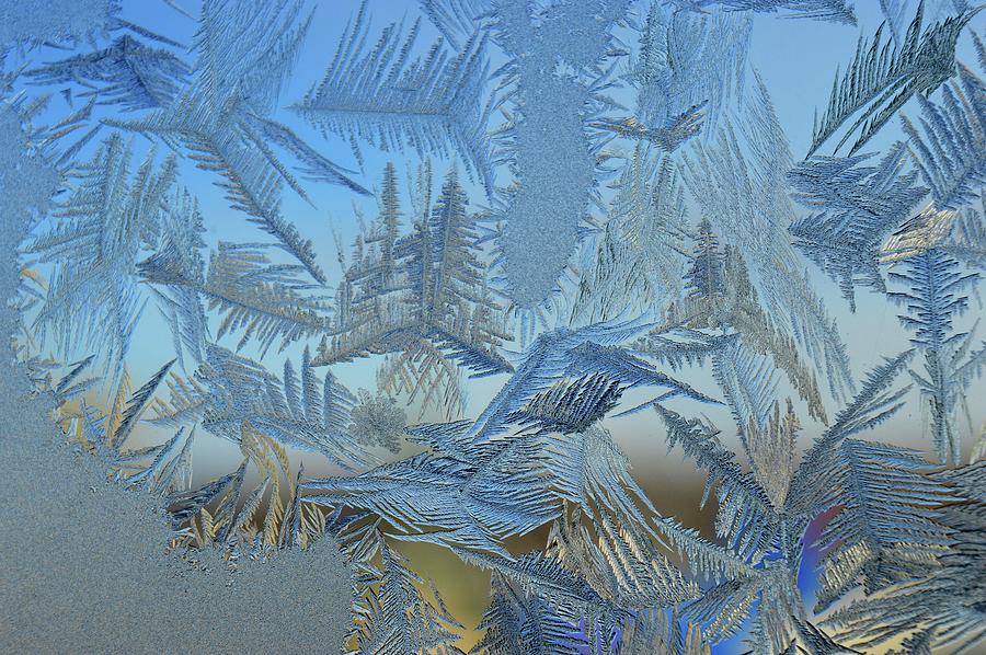 Frost Feathers On The Window  Digital Art by Lyle Crump