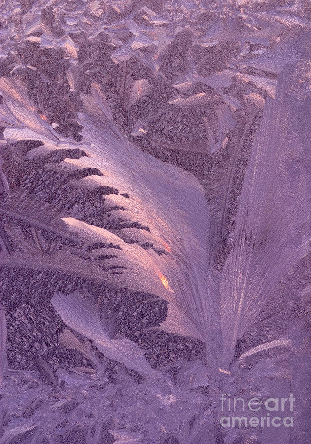 Frost Frosty Window Photograph by George Robinson