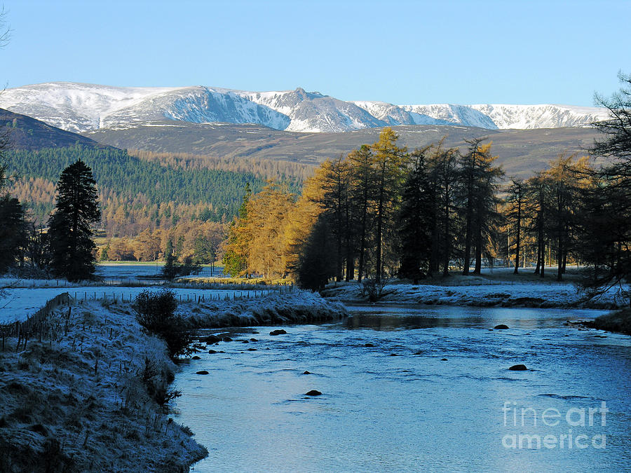 Frost in the Glen - Invercauld - Scotland Photograph by Phil Banks