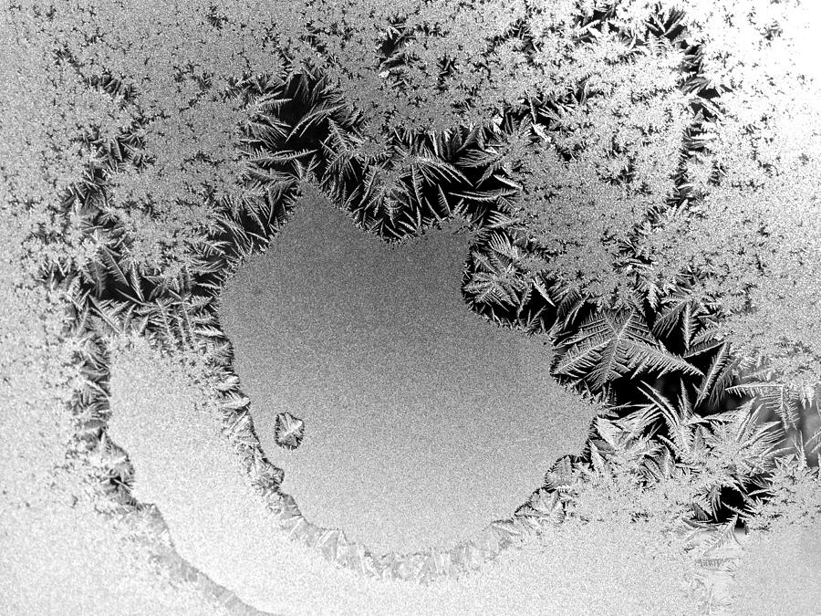 Frost Lace Trim Photograph by Polly Castor