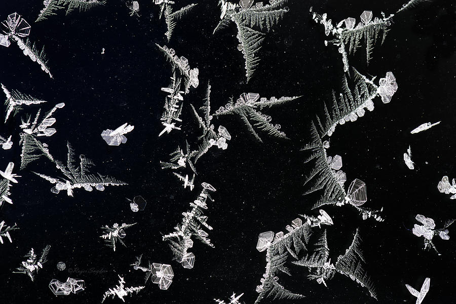 Unique Shapes Photograph - Frost on Car Window 2 by Roger Snyder