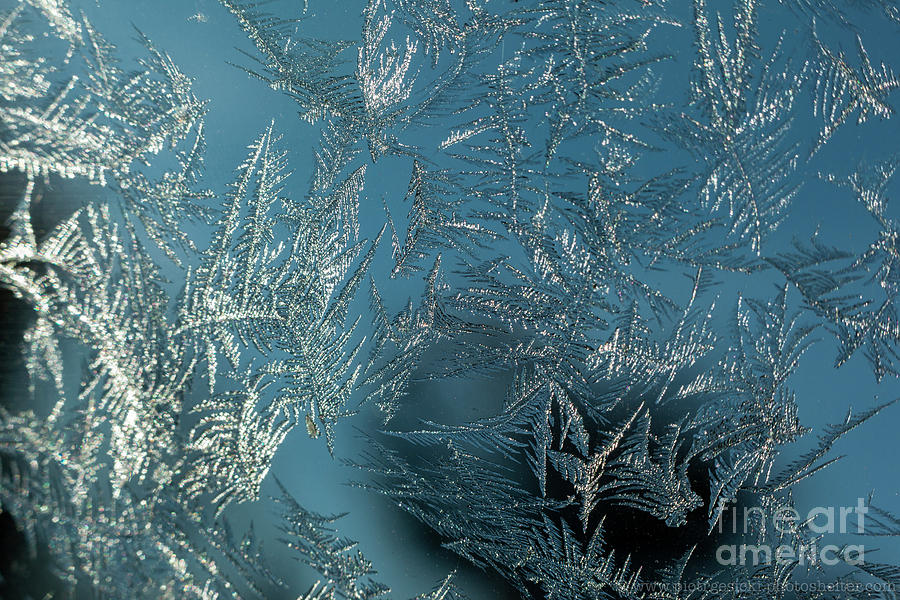 Frost On Window 1 Photograph