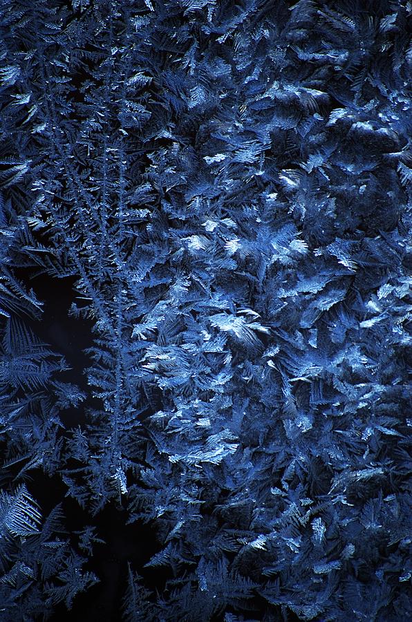Winter Digital Art - Frost on Window by David Lane