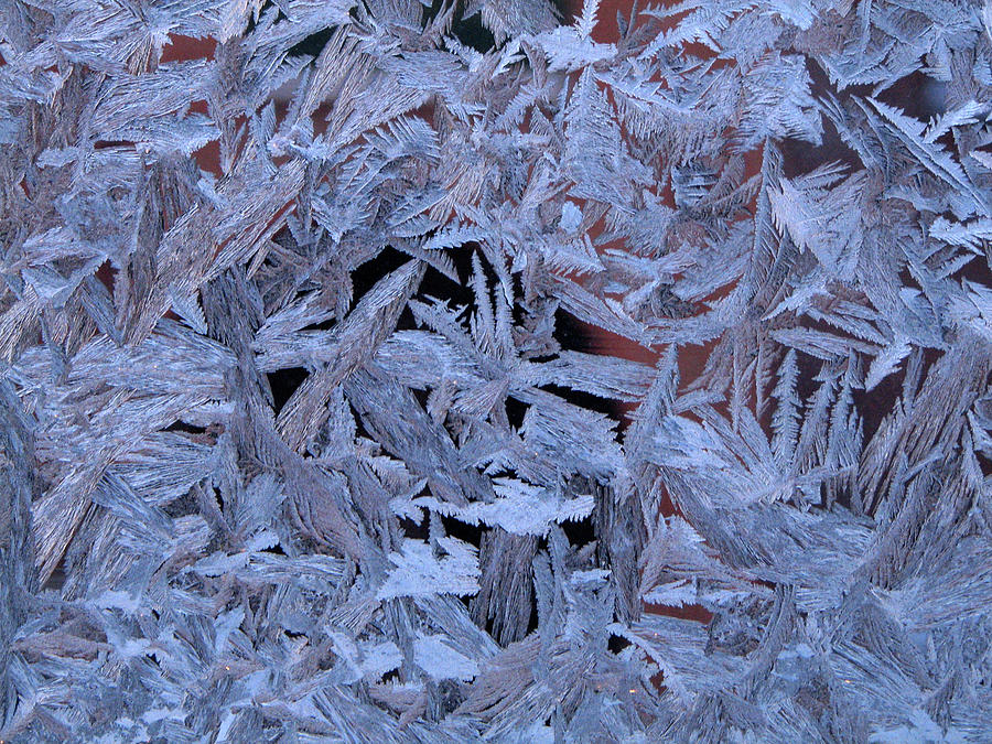 Frost Patterns on Window 1 Photograph by Victor Kovchin