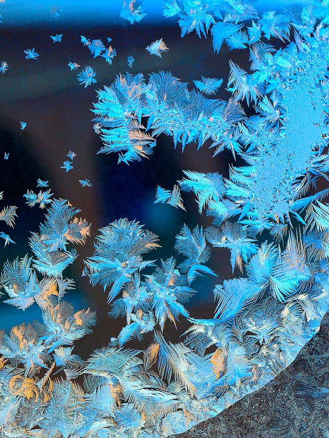 Frost Patterns on Window 4 Photograph by Victor Kovchin