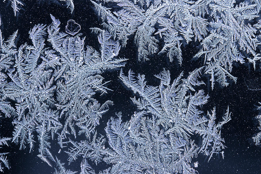 Frost Series 14 Photograph by Mike Eingle