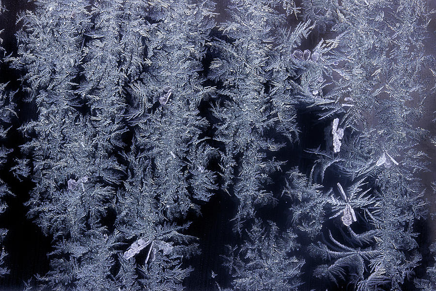 Frost Series 3 Photograph by Mike Eingle