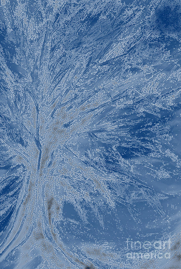 Winter Mixed Media - Frost Tree by jrr by First Star Art