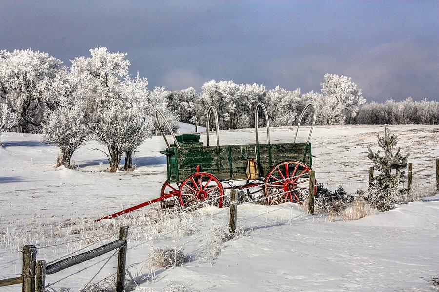 Frost Wagon Photograph by David Matthews