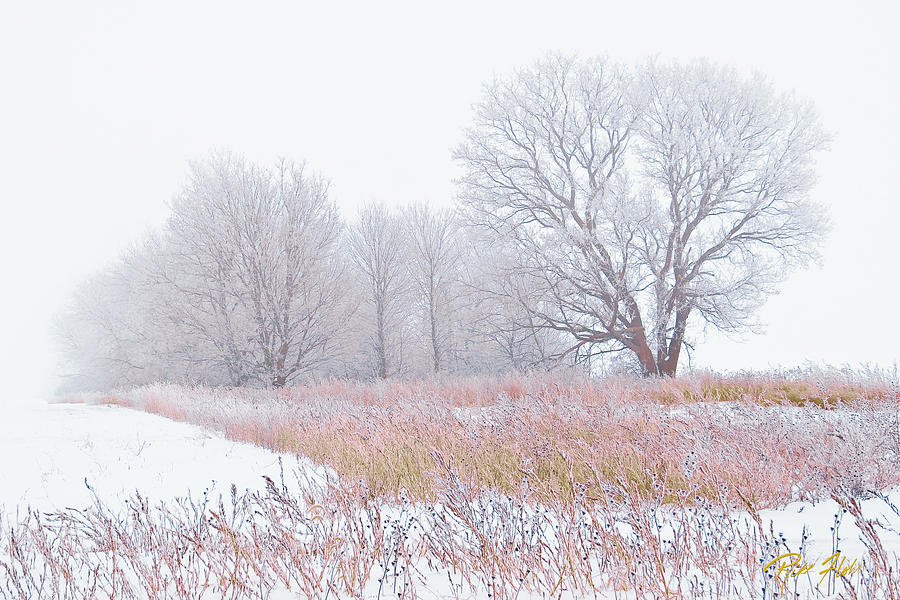 Frostbit Fields Photograph by Rikk Flohr