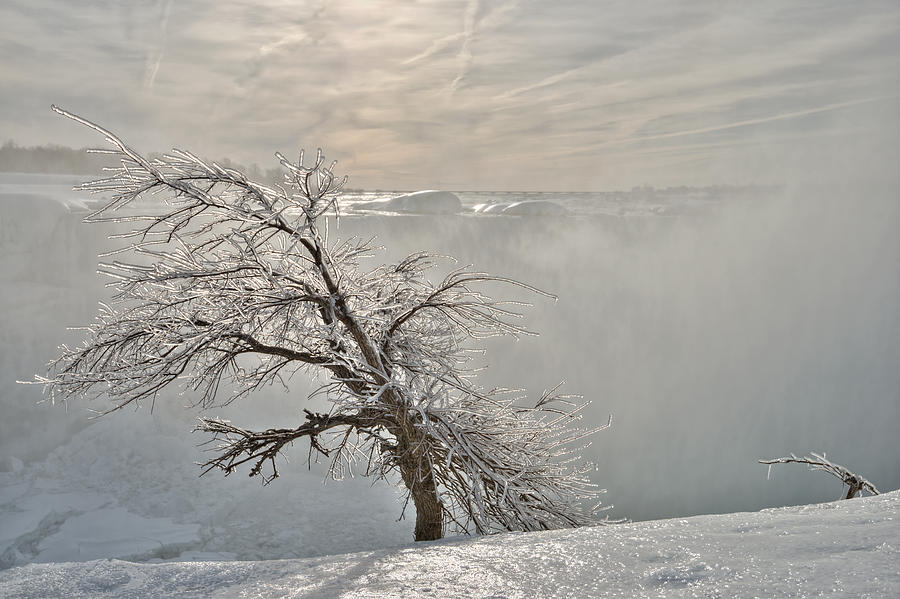 Frost Photograph - Frostbite by Sebastien Coursol