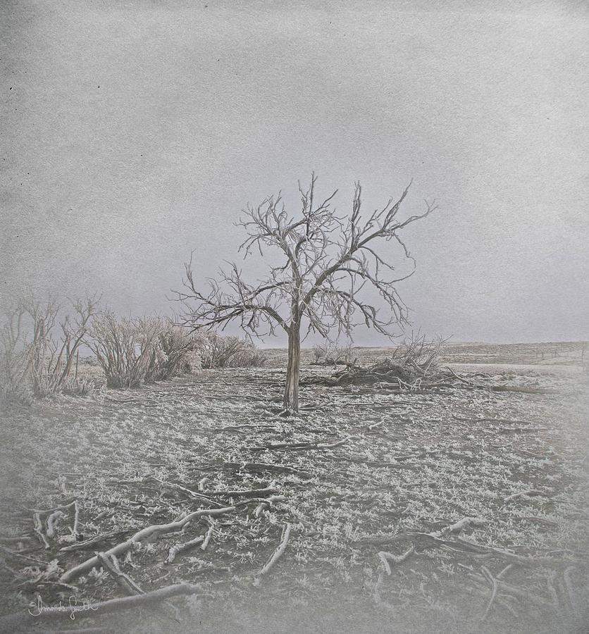 Winter Mixed Media - Frosted by Amanda Smith